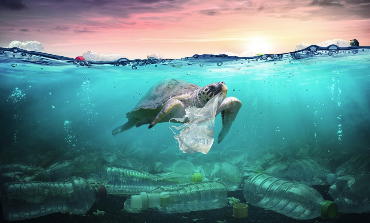 Un mare di Impegno per l’Ambiente, Alis protagonista all’incontro organizzato da Cisambiente alla presenza del Ministro Costa